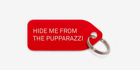 Hide me from the pupparazzi - Growlees